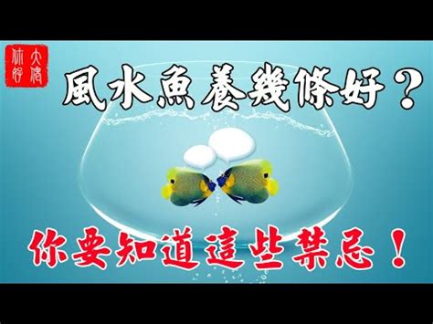 魚隻數量